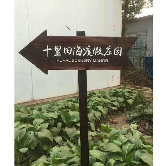 武汉木牌匾发展趋势介绍